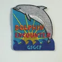 Dolphin Encounter
