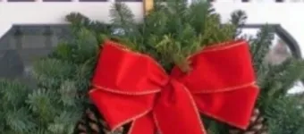 Poinsettia Fundraiser banner