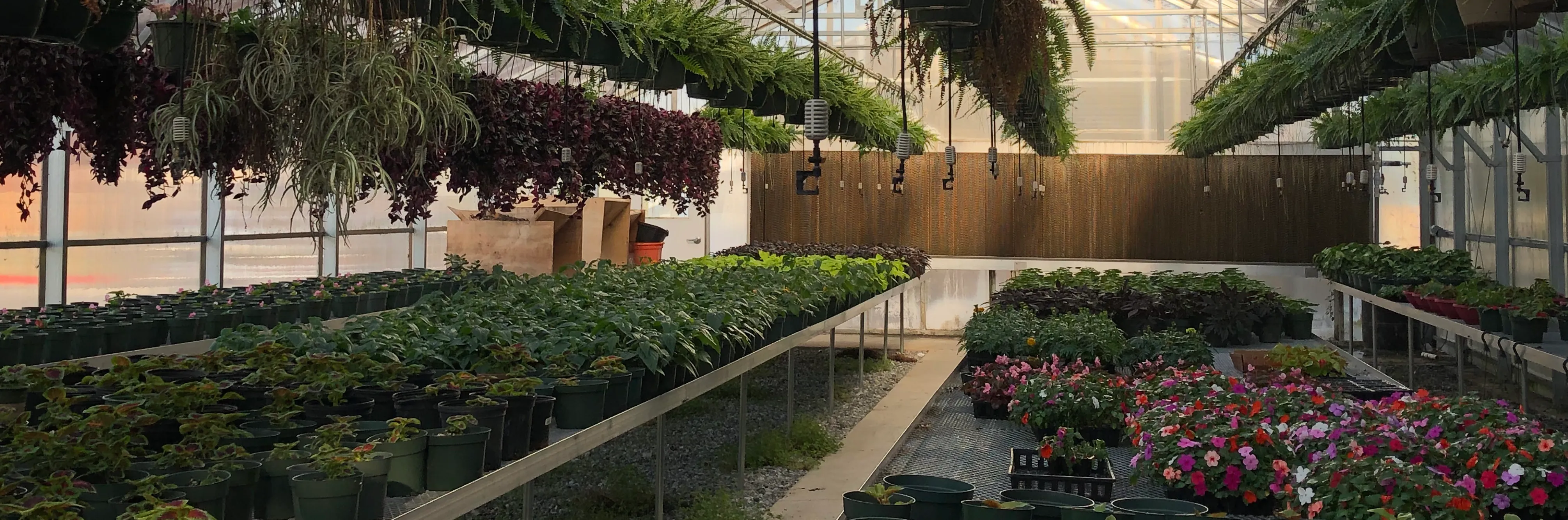 Smithville High School FFA Spring Plant Sale  banner