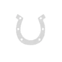 SILVER Horseshoe