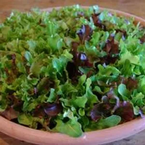Lettuce Bowl
