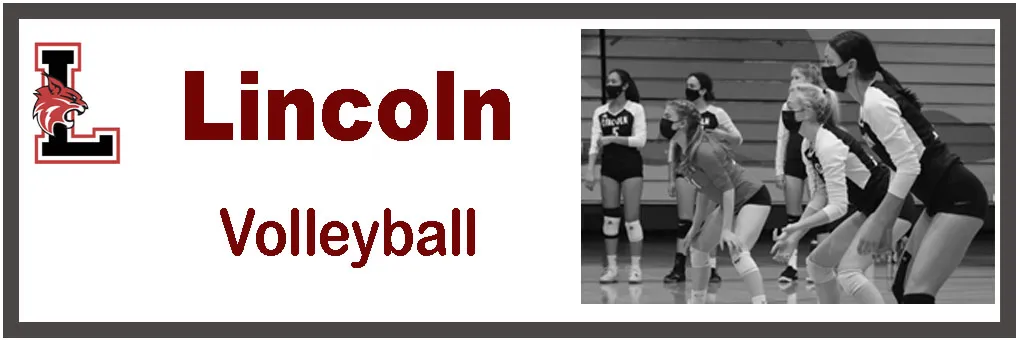 Volleyball banner