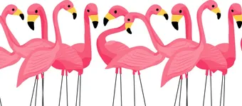 Rock the Flock banner