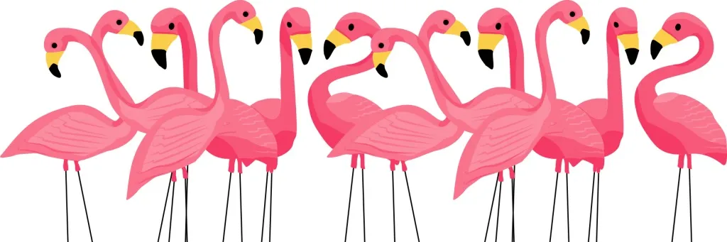 Rock the Flock banner