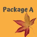 Package A - 2 Bands, 40 Tix ($10 Savings)