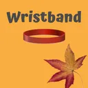 Wristband