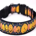 Fall Fest Wristband