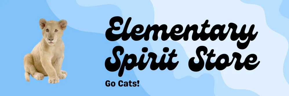 Spirit Store Example banner