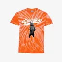TieDye Grizzlies