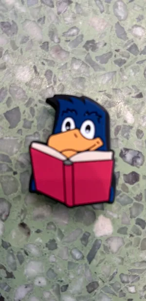 Swoop with a book Croc charm