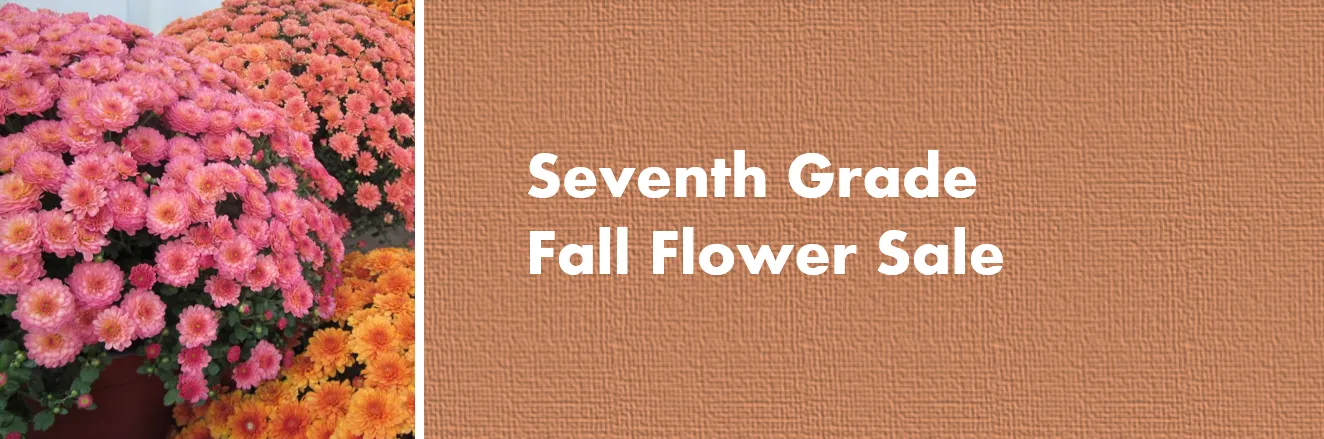 Fall Flower Sale  banner