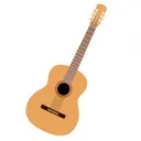 Guitar Rental