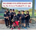 Register: Little League Baseball Camp 2025