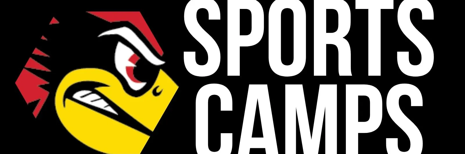 Sports Camps Registration & Payments Example banner