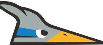 NCSA Direct Giving (2024 - 2025) banner
