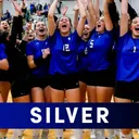 Silver Sponsor
