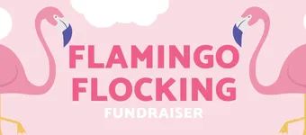 24/25 Flamingo Flocking   banner