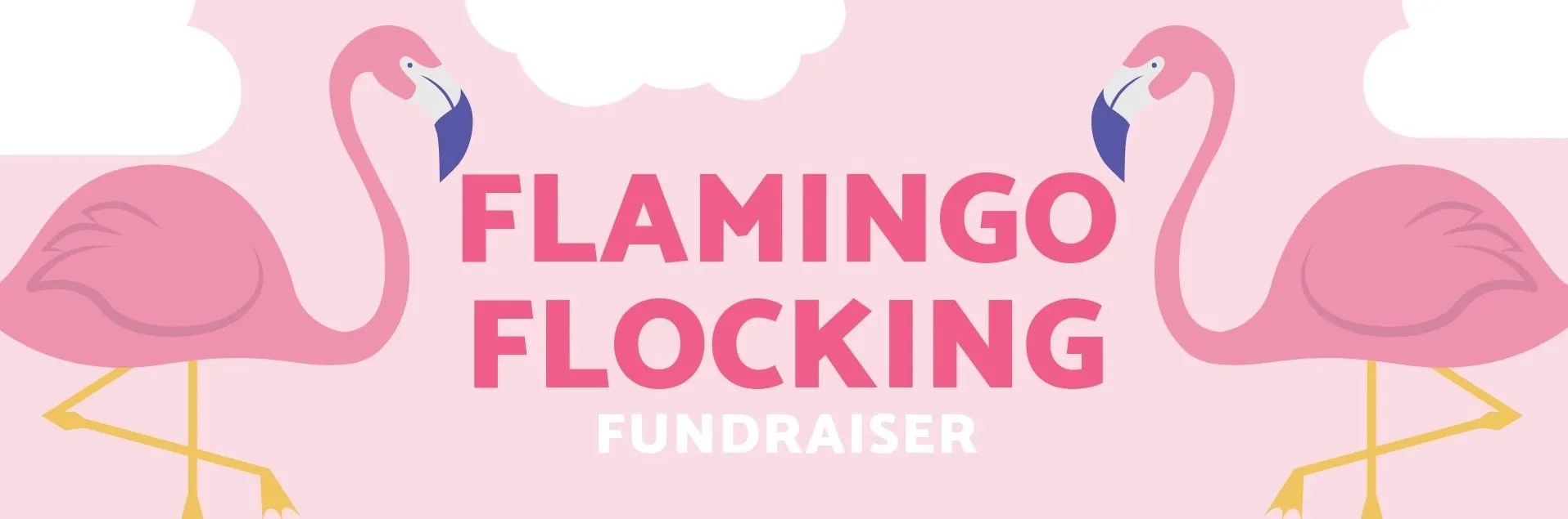 25/26 Flamingo Flocking    banner
