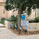 Blue  Flamingo Flocking (no occasion)