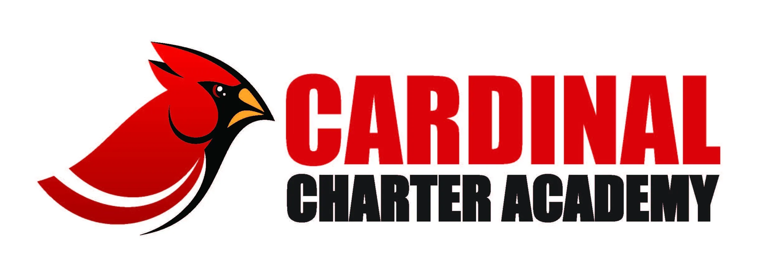 Collection banner