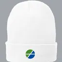 City of Fishers Knit Cap