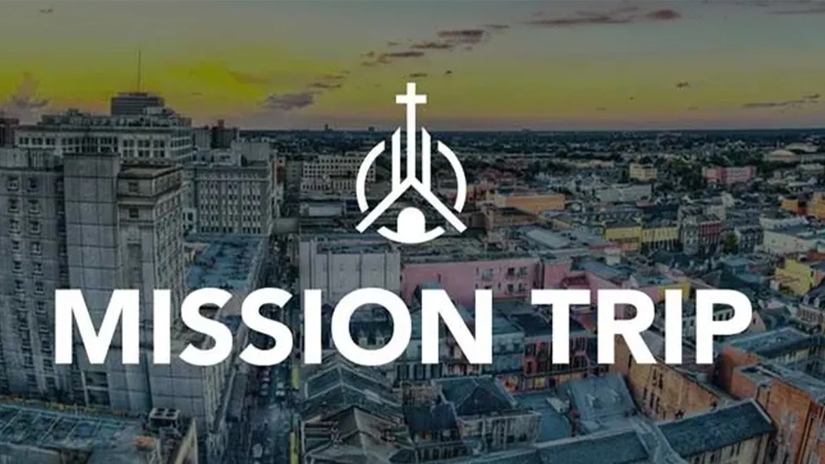Collection banner
