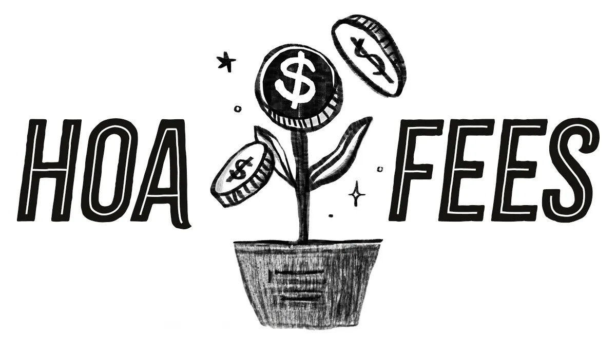 Collection banner