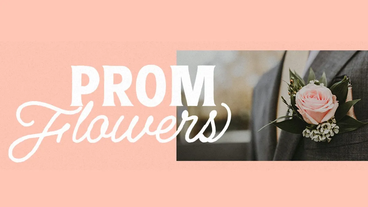 Collection banner