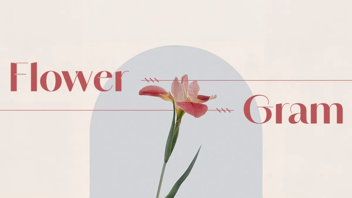 Collection banner
