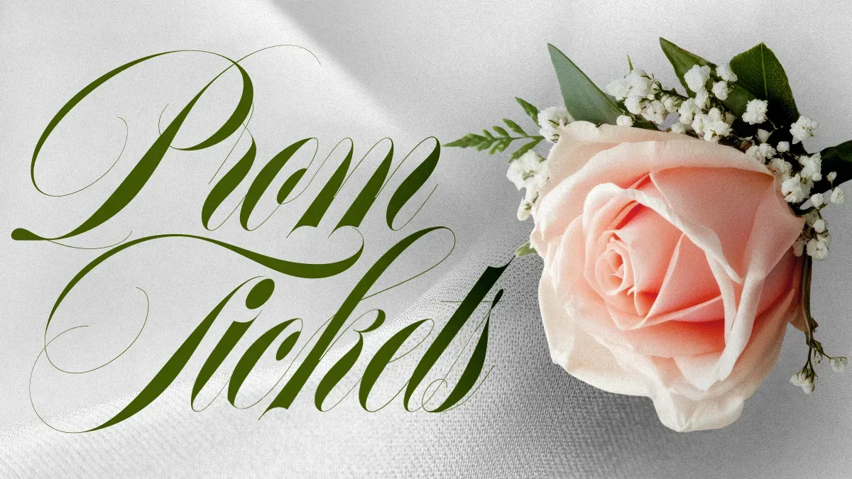 Collection banner