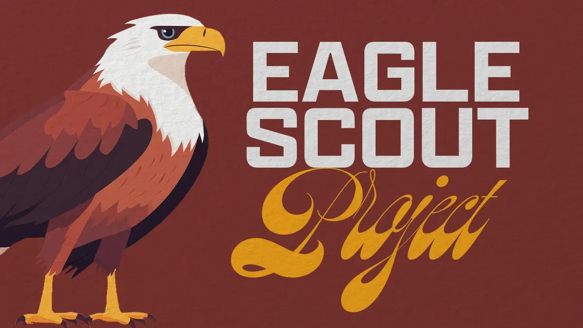 Collection banner