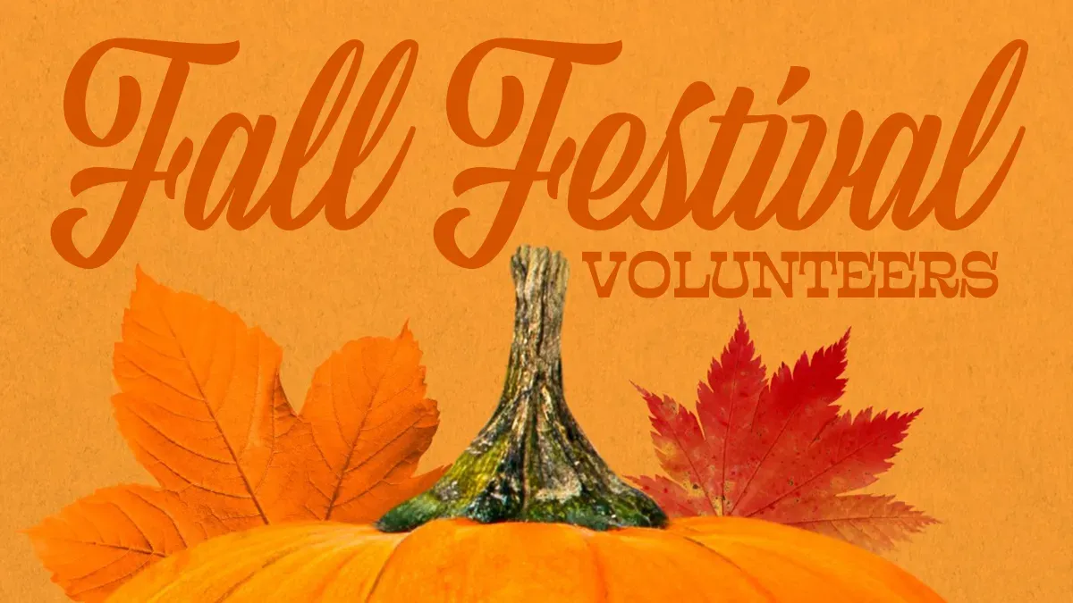 Collection banner