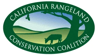 Collection banner