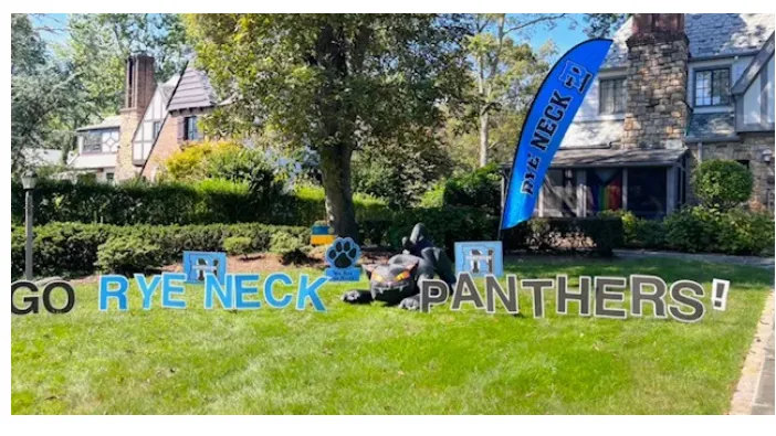 Collection banner