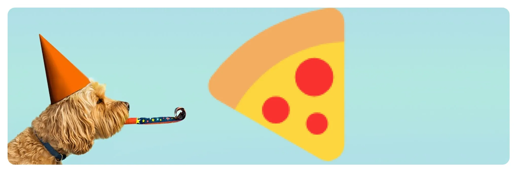 Collection banner