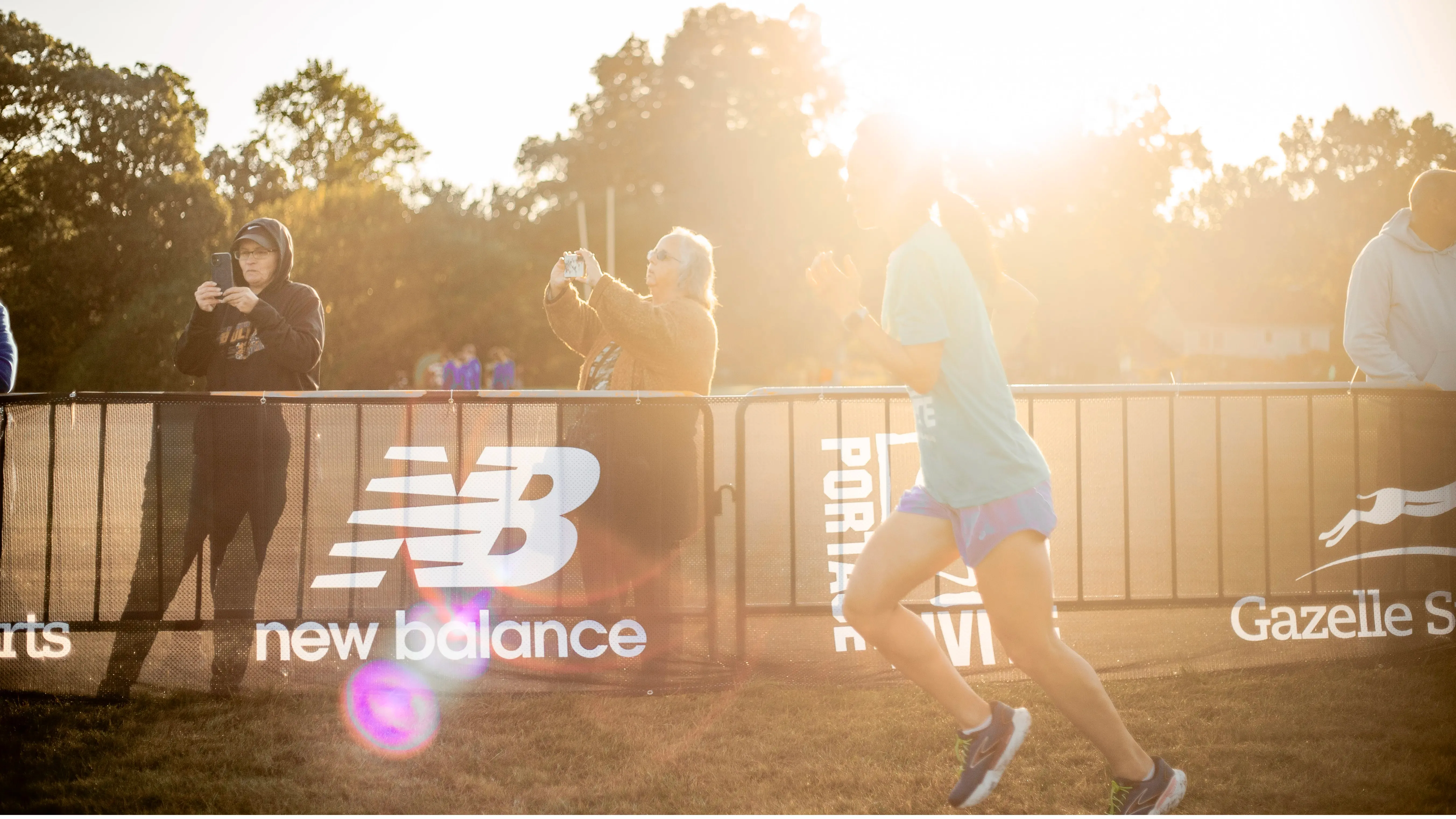 Collection banner