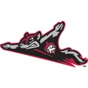 Squirrels vs Reading (May 23rd - 6:35pm)