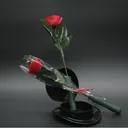 Light up Rose
