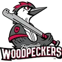 Woodpeckers Baseball Game
