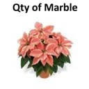 6 in ponsettia marble color- light pink and 