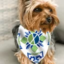 Fishers Bandana (Triangle/Dog/Pet)