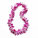 Graduation Lei