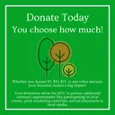 Supporting Donation - Any Amount