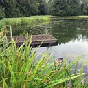 Individual Dock Weed Treatment (Optional)