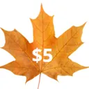 $5 Donation