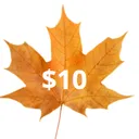 $10 Donation