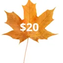 $20 Donation
