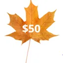 $50 Donation