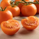 Valencia Tomato Plant