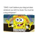 Private Training 4 Pack of Lessons